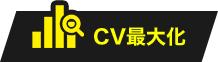 CV最大化